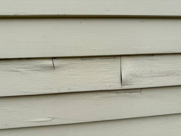 Best Siding Painting and Refinishing  in Fort Pierre, SD